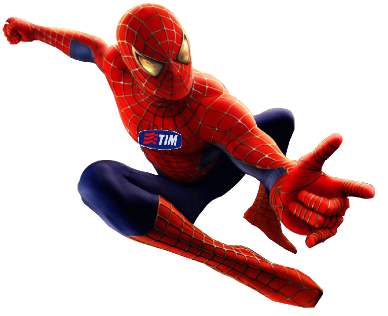 spiderTim