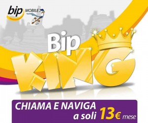 Bip King