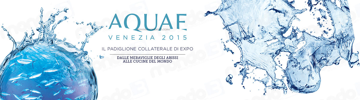 Aquae Venezia 2015 - Expo Acqua