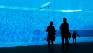 Acquario di Genova